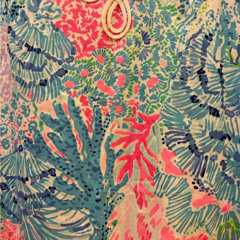 Lilly Pulitzer Brewster Dress NWT Size Large - Picture 3 of 6